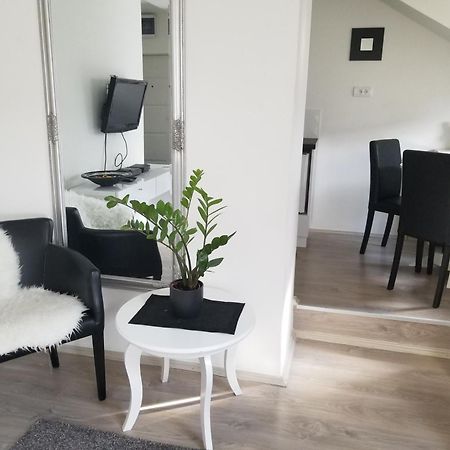 Ferienwohnung Stan Na Dan Angel Novi Sad Zimmer foto